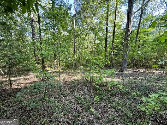 4655 Hwy 29, Royston, GA 30662