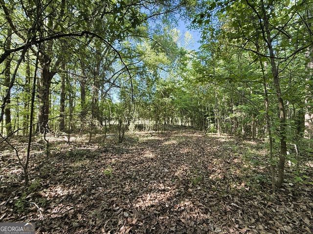 4655 Hwy 29, Royston, GA 30662
