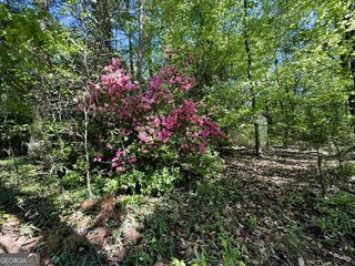 4655 Hwy 29, Royston, GA 30662
