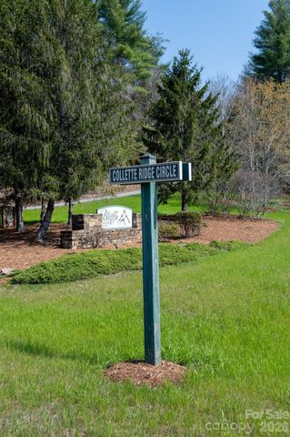 TBD Ritter Ridge Lane 27, Collettsville, NC 28611