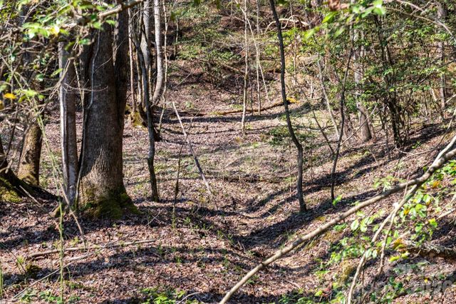 TBD Ritter Ridge Lane 27, Collettsville, NC 28611