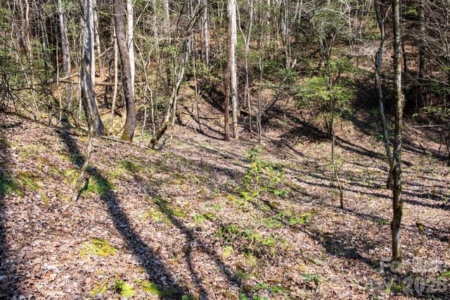 TBD Ritter Ridge Lane 27, Collettsville, NC 28611