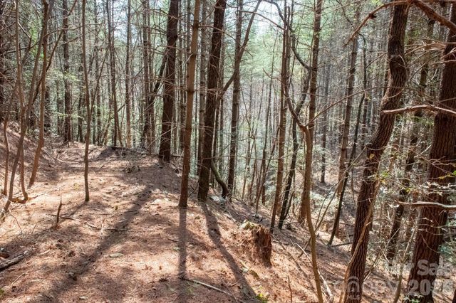 TBD Ritter Ridge Lane 27, Collettsville, NC 28611