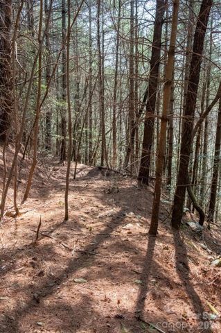 TBD Ritter Ridge Lane 27, Collettsville, NC 28611