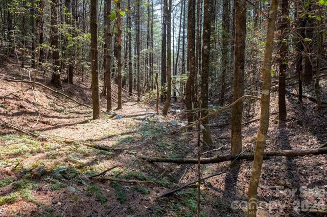 TBD Ritter Ridge Lane 27, Collettsville, NC 28611