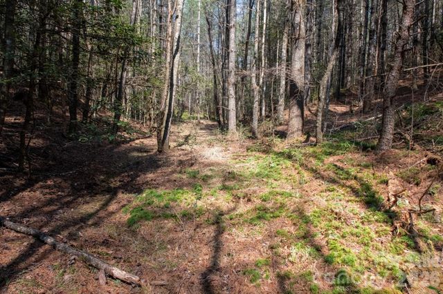 TBD Ritter Ridge Lane 27, Collettsville, NC 28611