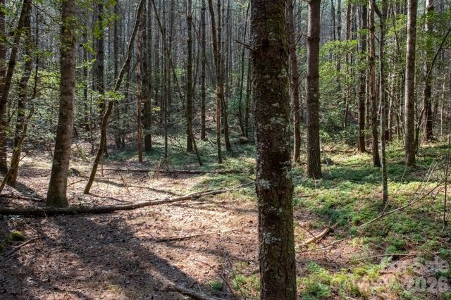 TBD Ritter Ridge Lane 27, Collettsville, NC 28611