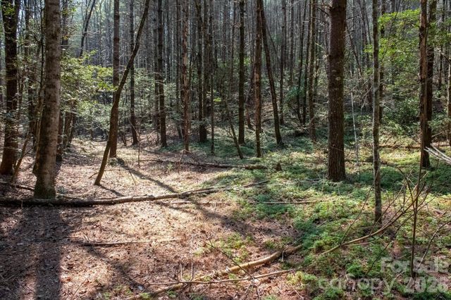 TBD Ritter Ridge Lane 27, Collettsville, NC 28611