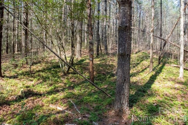 TBD Ritter Ridge Lane 27, Collettsville, NC 28611