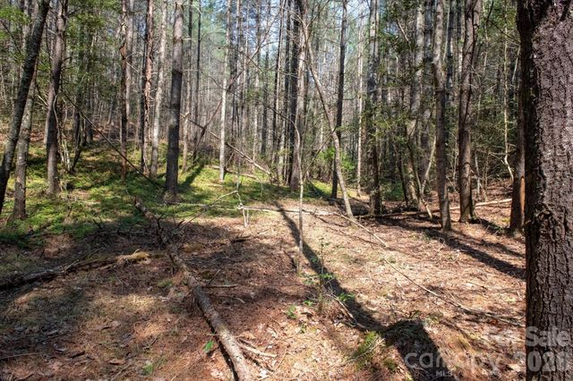 TBD Ritter Ridge Lane 27, Collettsville, NC 28611