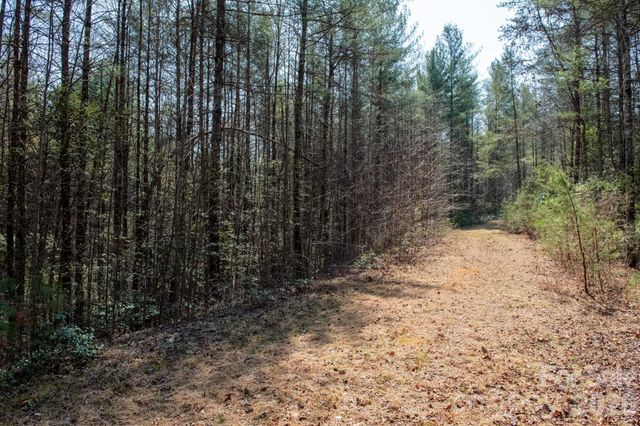 TBD Ritter Ridge Lane 27, Collettsville, NC 28611