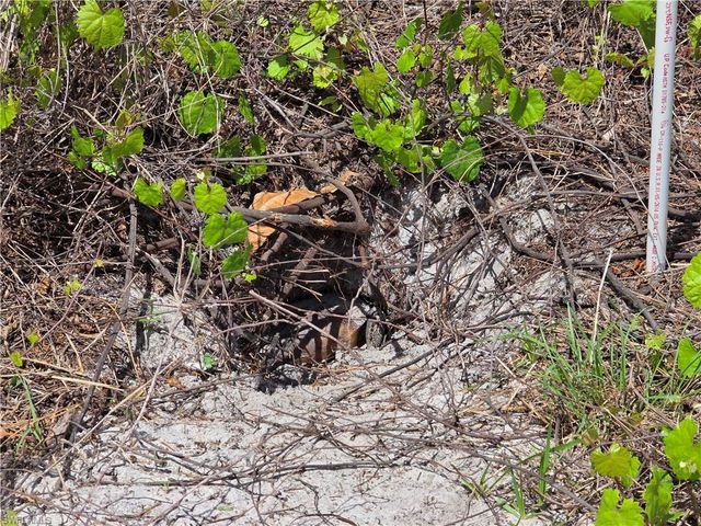 215 Fletcher ST, Port Charlotte, FL 33954