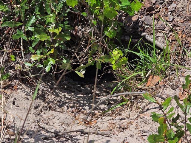 215 Fletcher ST, Port Charlotte, FL 33954