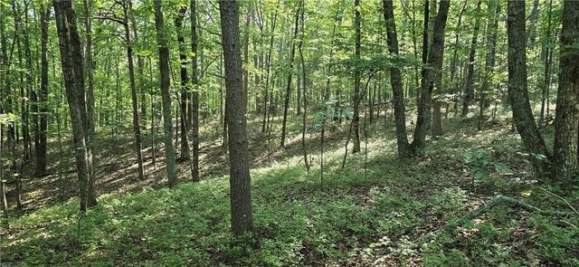 1356 Firetower Road, Jasper, GA 30143