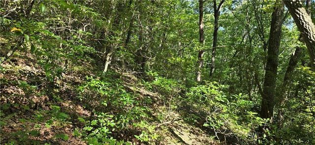 1356 Firetower Road, Jasper, GA 30143