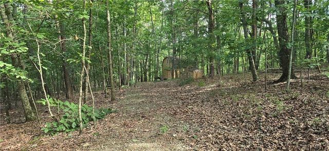 1356 Firetower Road, Jasper, GA 30143