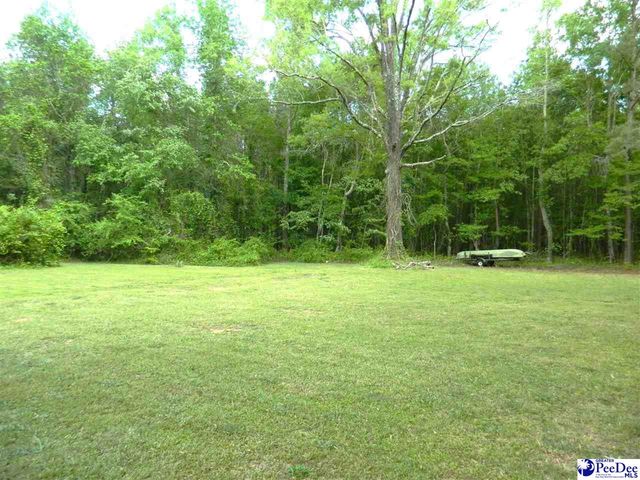 1469 Bay Branch Road, Lamar, SC 29069