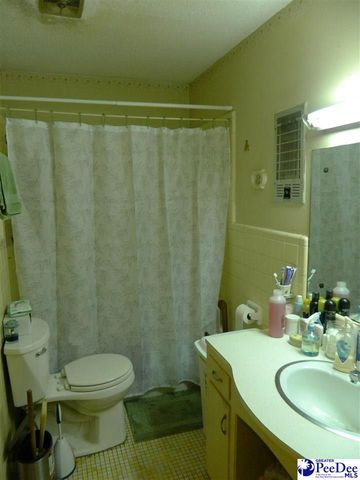 1469 Bay Branch Road, Lamar, SC 29069