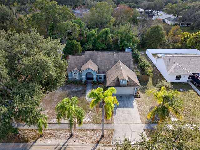 24134 HAMPTON PLACE, Lutz, FL 33559