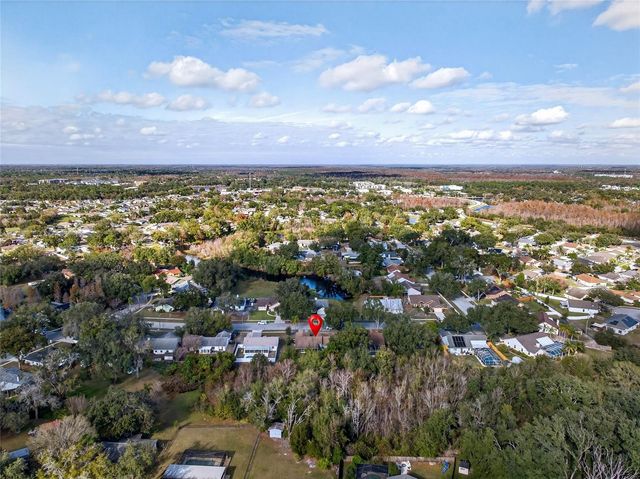 24134 HAMPTON PLACE, Lutz, FL 33559