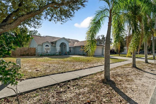 24134 HAMPTON PLACE, Lutz, FL 33559