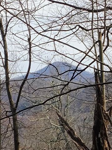 0 Bent Mountain RD, Bent Mountain, VA 24059