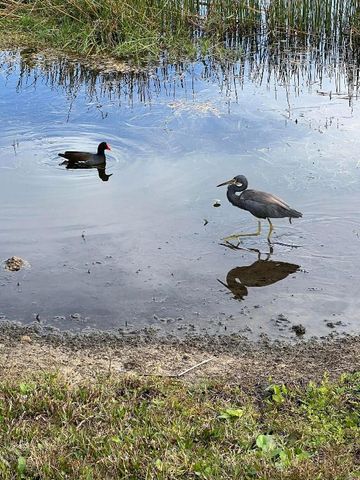 3904 NW Cinnamon Tree Circle, Jensen Beach, FL 34957