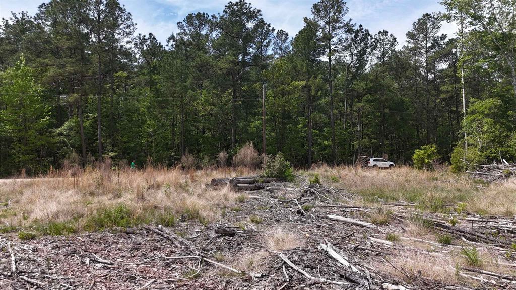 TBD Hope Ct, Gresham, SC 29546 — photo 2