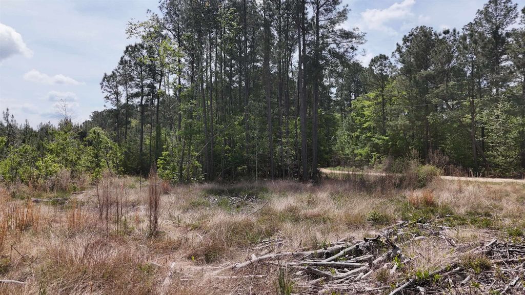 TBD Hope Ct, Gresham, SC 29546 — photo 3