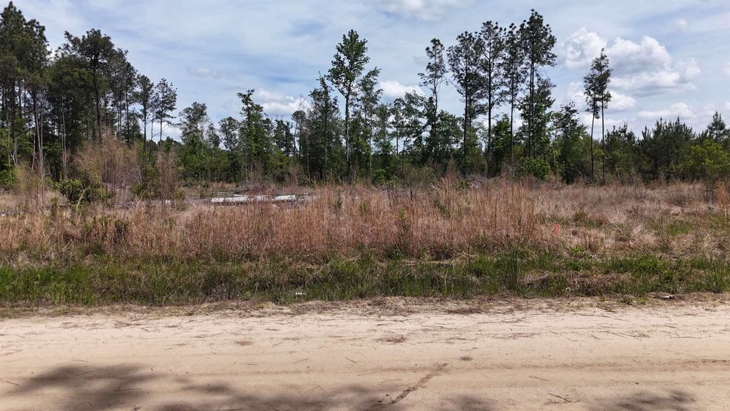 TBD Hope Ct, Gresham, SC 29546 — photo 4