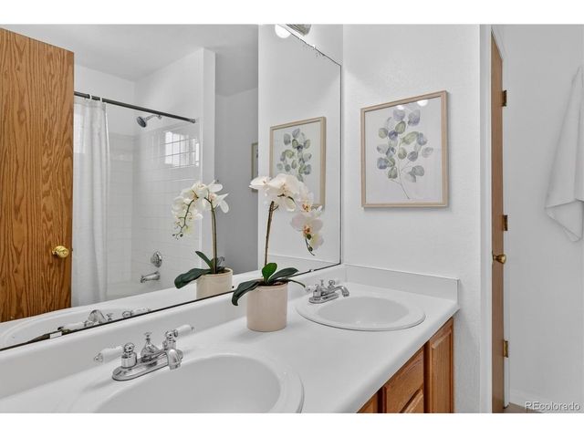 4048 Ashcroft Ave, Castle Rock, CO 80104