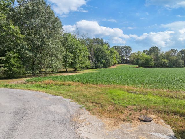 203 PEACE AND HARMONY ROAD, Gleason, TN 38229