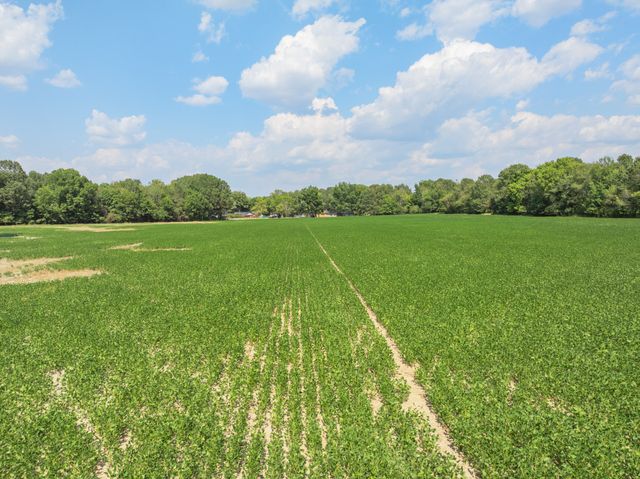 203 PEACE AND HARMONY ROAD, Gleason, TN 38229