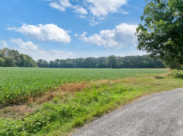 203 PEACE AND HARMONY ROAD, Gleason, TN 38229