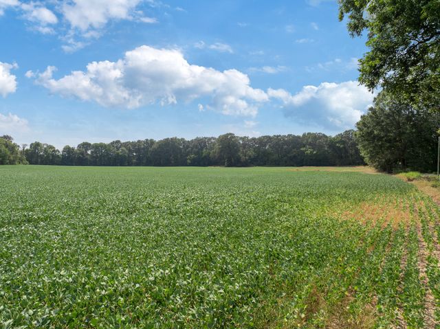 203 PEACE AND HARMONY ROAD, Gleason, TN 38229