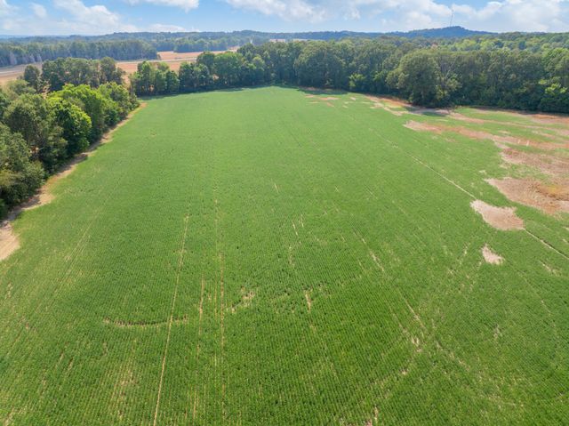 203 PEACE AND HARMONY ROAD, Gleason, TN 38229