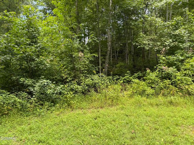 Lot 3D Coy Rhea Way, Sevierville, TN 37876