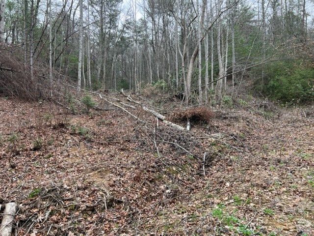 Lot 3D Coy Rhea Way, Sevierville, TN 37876