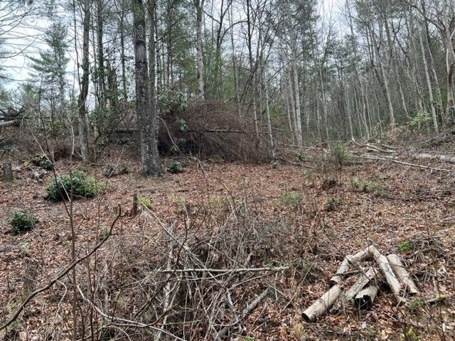 Lot 3D Coy Rhea Way, Sevierville, TN 37876