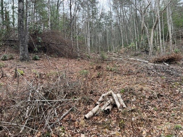 Lot 3D Coy Rhea Way, Sevierville, TN 37876