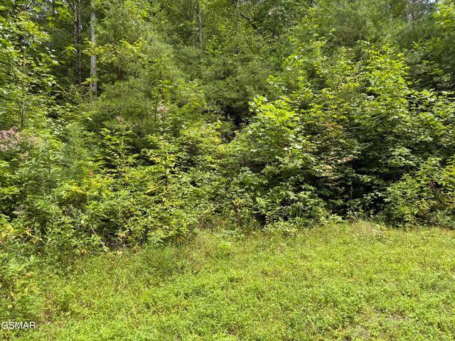 Lot 3D Coy Rhea Way, Sevierville, TN 37876