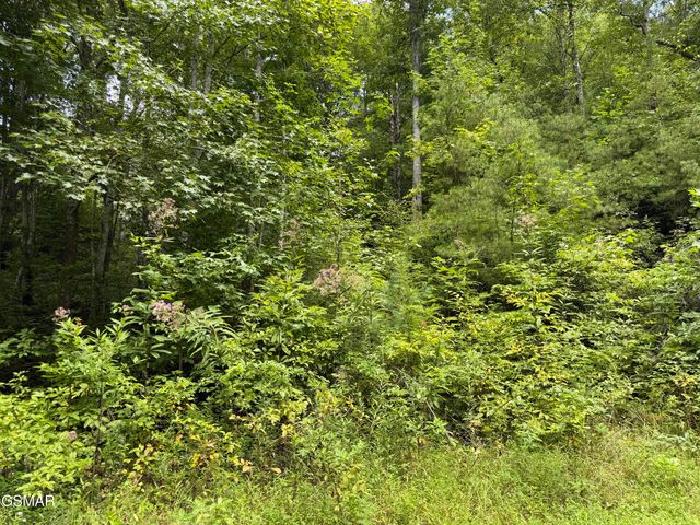 Lot 3D Coy Rhea Way, Sevierville, TN 37876