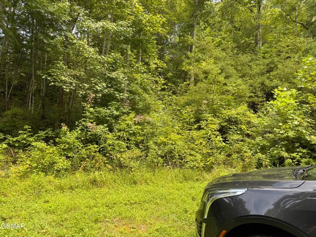 Lot 3D Coy Rhea Way, Sevierville, TN 37876