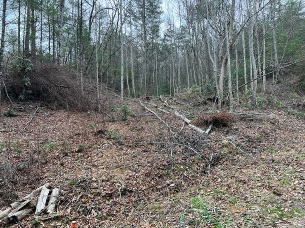 Lot 3D Coy Rhea Way, Sevierville, TN 37876