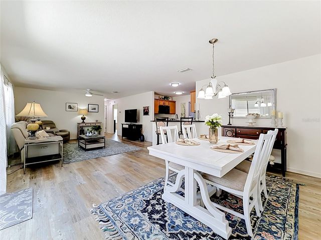 1430 OLYMPIA STREET, The Villages, FL 32163