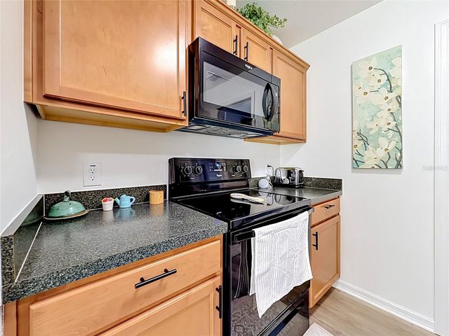 1430 OLYMPIA STREET, The Villages, FL 32163