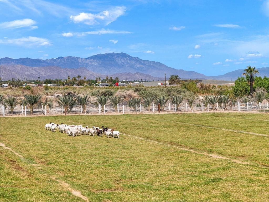 Image 25 of property listing at 88161 Airport Boulevard, Thermal, CA 92274