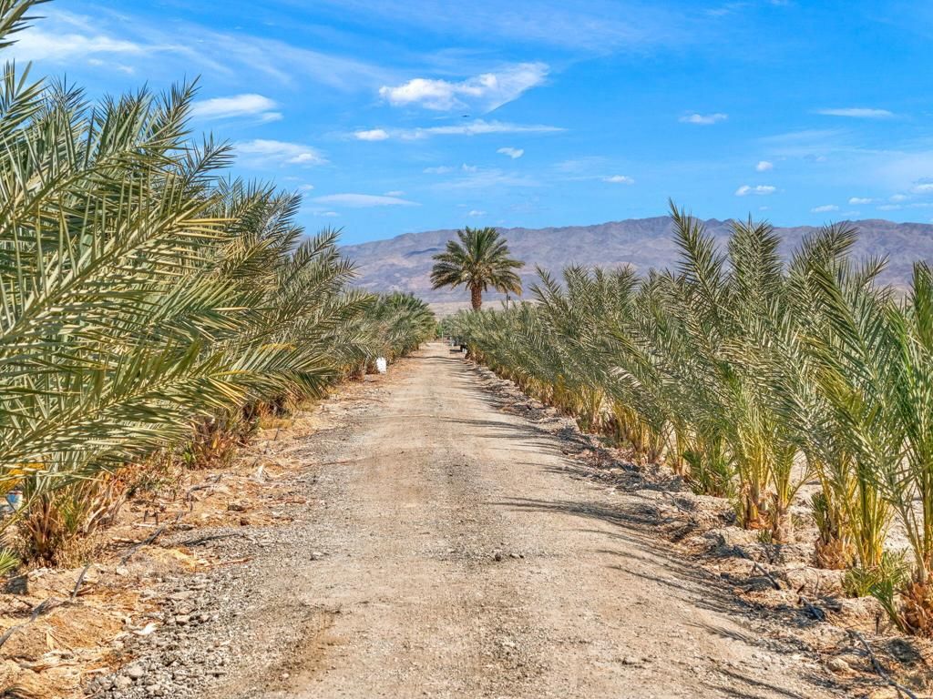 Image 31 of property listing at 88161 Airport Boulevard, Thermal, CA 92274