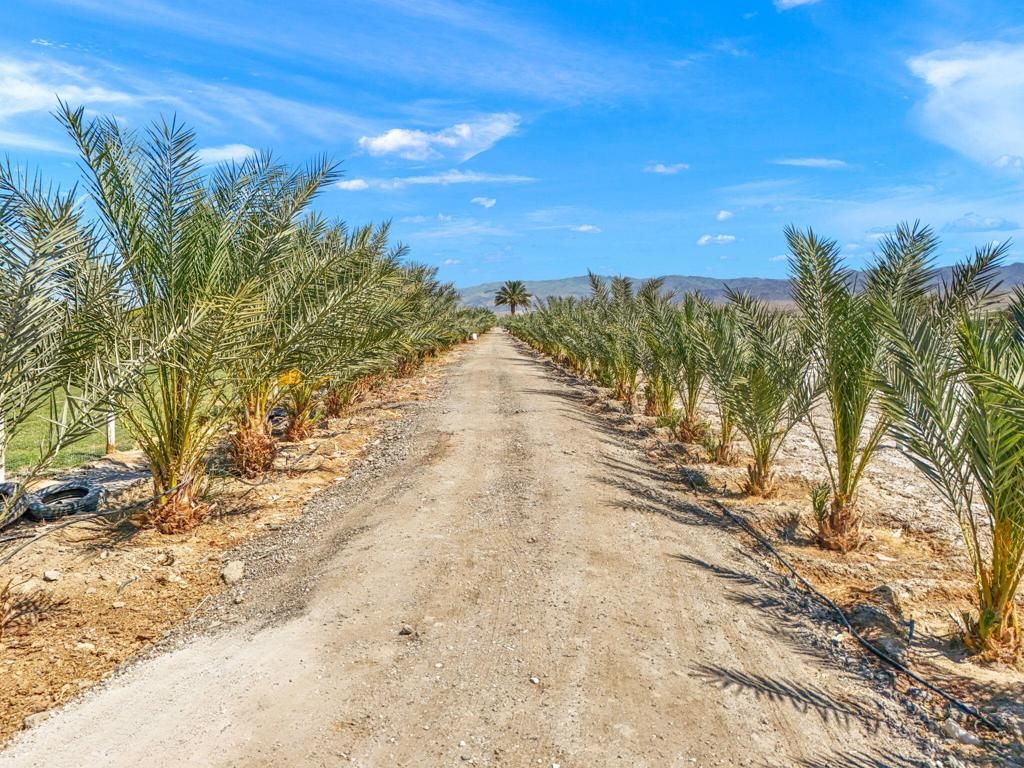 Image 41 of property listing at 88161 Airport Boulevard, Thermal, CA 92274
