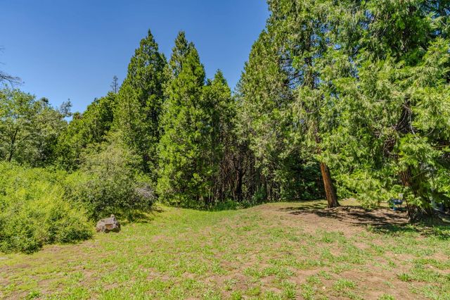 15853 Schaefer Ranch Rd, Pioneer, CA 95666